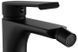 Смеситель для биде Rea Hass black REA-B9965, Черный матовый