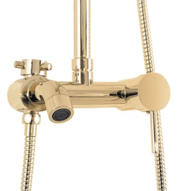 Душевая система Rea Luis gold с мыльницей в комплекте REA-P7006, Золотой