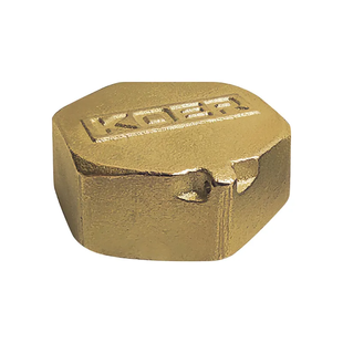Заглушка Koer Kf.P10F.Wn - 1'' В (без никеля) KR3100