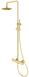Душевая система Kohlman Axel gold QW276AGD, Золотой