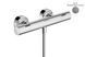 Термостат для душу Hansgrohe Ecostat Fine black chrome 13324340