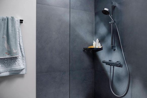 Термостат для душу Hansgrohe Ecostat Fine chrome 13323000